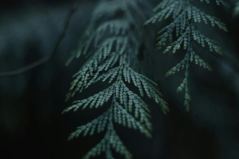 insightful name significance revealed