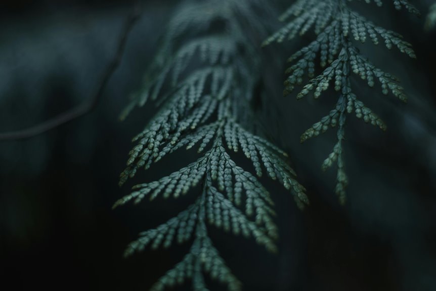 insightful name significance revealed