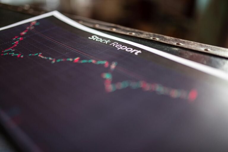 identification verification summary report